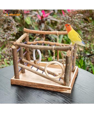Niteangel Bird Playground: Natural Living & Activity Center for Birds - Buy Online on GoSupps.com