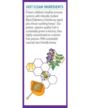 New Chapter Elderberry Kids Syrup - 4 fl oz | Natural Immune Support for Children - Buy Online on GoSupps.com