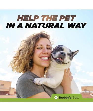 Kennel Cough Relief | Immediate and Long-Lasting Support for Dogs | 50ml - Buy Online on GoSupps.com