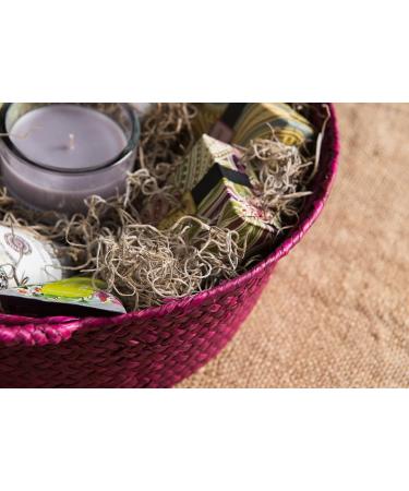 Preserved Natural Spanish Moss - 8oz (200 cubic inches) Bag - Buy Online on GoSupps.com