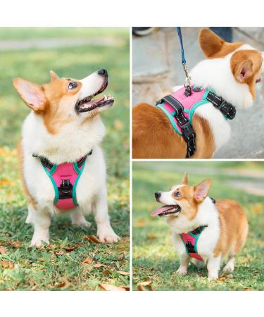 Phoepet Reflective Adjustable Dog Harness with Training Handle - Medium Pink Vest 2 Metal Hooks & 3 Snap Buckles - Buy Online on GoSupps.com