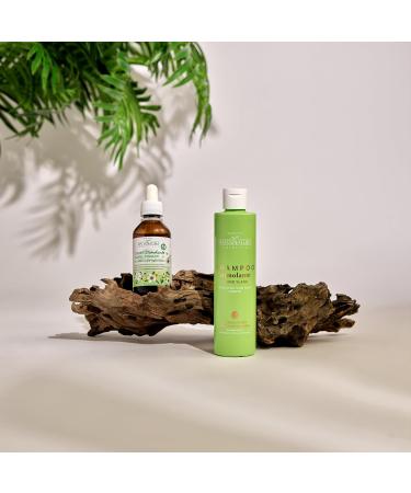 Maternatura Olive Leaves Hair Lotion | Anti-Hair Loss Treatment | Organic Beauty Routine | Made in Italy - 100ml - Buy Online on GoSupps.com