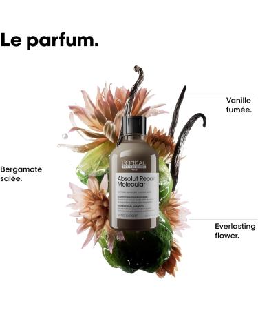 L'Or al Professionnel Paris L Or al Professionnel Absolut Repair Molecular Discovery Kit All Types of Damaged Hair Trio Shampoo (100ml) + Concentrated Mask (75ml) + Leave-In Mask (100ml) Patented Formula - Buy Online on GoSupps.com