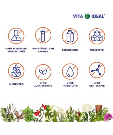 Buy Vita Ideal Kalmus Root Powder 300g - Pure Acorus Calamus - Sweet Sedge - 800mg Daily Portion - Includes Measuring Spoon - International Shipping Available - Buy Online on GoSupps.com