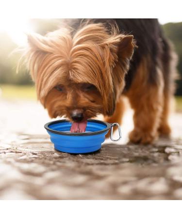 Kytely Large Collapsible Dog Bowls 2 Pack - Portable 34oz Foldable Travel Bowl for Dogs - Includes Clasp - Ideal for Walking, Traveling, and Park Trips - Blue & Black - Buy Online on GoSupps.com