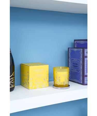 Coconut Mandarin Vanilla Candles - Luxury Highly Scented Soy Candles for Home | Tropical Beach Aromatherapy Relaxation Gifts - Buy Online on GoSupps.com