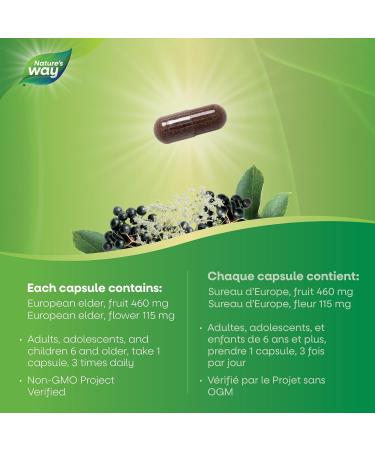 Sambucus Elderberry Cold and Flu Care Capsules 90 Vegetarian Capsules Non-GMO Project Verified 90 Capsules Medicine - Buy Online on GoSupps.com