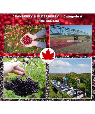 Immunia Cranberry & Elderberry Concentrate - Natural Urinary Health Support - 4.05 Fl Oz (Pack of 1) - Buy Online on GoSupps.com