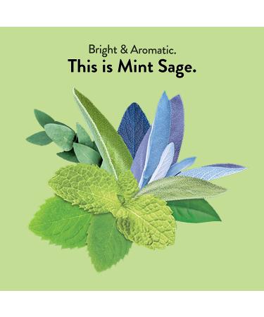 Choice Organic Teas Herbal Mint Sage Tea - Caffeine Free, 16 Bags (1.02 oz) - Buy Online on GoSupps.com