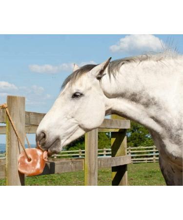 Himalayan Pink Salt Horses Lick Pink Natural Salt (2PCS 2.0 kg Each) Organic Himalayan Salt Lick Suitable for Live Stock Animals Deer Cow Horse link Salt with Hanging Rope - Buy Online on GoSupps.com