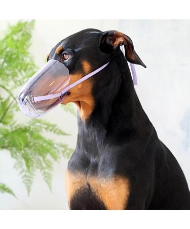 Shop Anti-Bite Cat Muzzle - Safe Bite-Proof Pet Accessories for International Shipping - Buy Online on GoSupps.com
