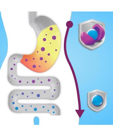 Digestive Advantage Daily Probiotic Gummy for Kids Multi Natural Fruit Flavours 80.0 Count natural fruit flavours 80 Count (Pack of 1) - Buy Online on GoSupps.com