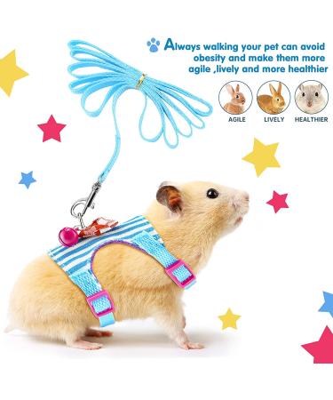 2-Piece Small Animal Harness and Leash Set for Walking - Comfort Padded Vest for Guinea Pig, Hamster, Ferret - S Blue/Black - Buy Online on GoSupps.com