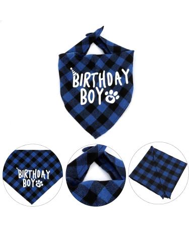 Sunallwell Dog Birthday Bandana & Party Hat Set | Cute Puppy Outfit & Decoration - Buy Online on GoSupps.com