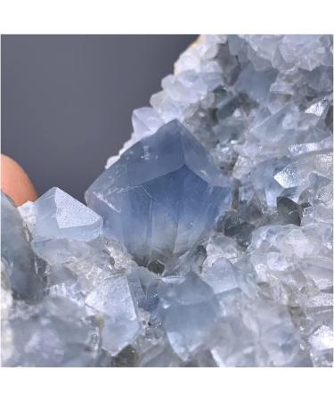 Crystal Rough Natural Crystal Rough Natural Celestite Cluster from Madagascar 1ech 2-3" 80-110g ech - Buy Online on GoSupps.com