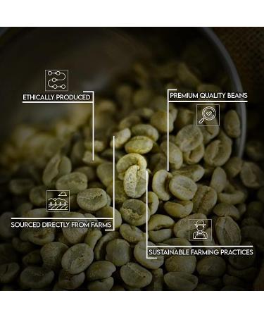 Unleashed Coffee | Unroasted Farm Blend | Arabica Whole Bean Coffee | Direct Trade Green Coffee Beans for Roasting | Small Lot  Farm Fresh Gourmet Coffee (Farm Blend  2 LB) 2 Pound (Pack of 1) Farm Blend - Buy Online on GoSupps.com