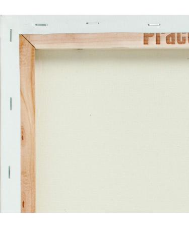 Practica Economy Stretched Cotton Canvas 12x16 - 2-Pack - Acid-Free Acrylic Primed for Acrylics, Pastels, Graphite & More - Buy Online on GoSupps.com