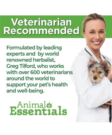 Animal Essentials Plant Enzyme & Probiotics for Dogs & Cats - 10.6 oz (300g) | Digestive Health - Buy Online on GoSupps.com