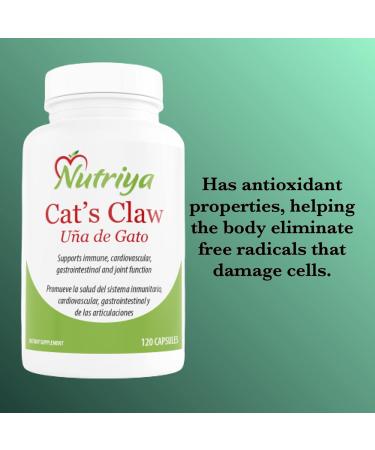 Nutriya Cat's Claw (U a de Gato) - Uncaria Tomentosa - Powerfull antioxidant That Supports Joints Cardiovascular Digestive and Immune System Health - 1 500 mg per Serving - Vegetarian Capsules. - Buy Online on GoSupps.com