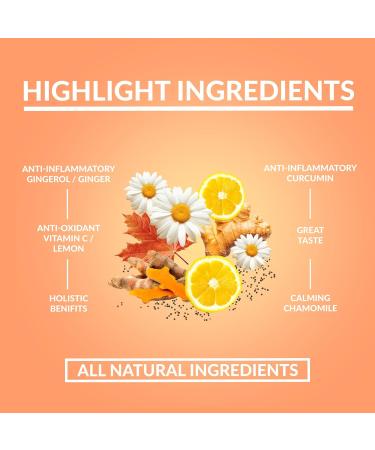 goodvibes juice co. Turmeric Daily | Natural Wellness Shot | Turmeric Black Pepper Ginger Chamomile Lemon Maple | Antioxidants Anti-Inflammatory Immunity | Vegan Gluten Free | 50mL Pouch (Pack of 2) 50 ml (Pack of 2) - Buy Online on GoSupps.com