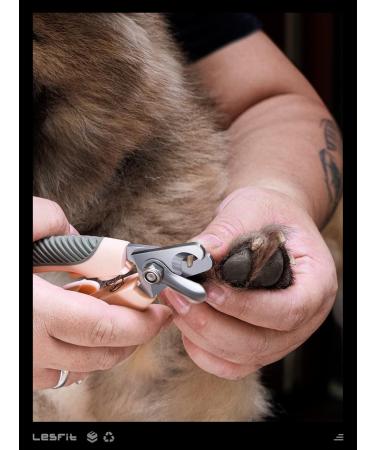 Lesfit Professional Dog & Cat Claw Scissors with Nail Files Premium Nail Clippers for Large & Medium Pets with Safety Protection - Buy Online on GoSupps.com