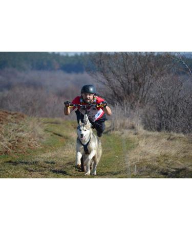 Buy Northern Howl X-Back Dog Harness for Canicross Bike Skijoring & Sled - Red XXXL | International Shipping Available - Buy Online on GoSupps.com