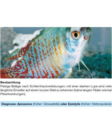 Sera Med Professional Protazole 100 ml - Effective Treatment for Fish Skin Parasites | Aquarium Medicine - Buy Online on GoSupps.com