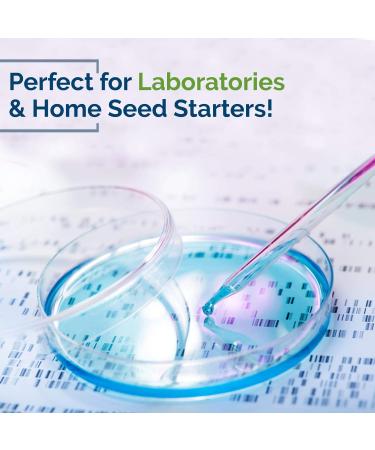 Can Food Vinyl Powder Free Gloves Small Size Transparent Powder Free Latex Free Disposable Non-Sterile Cleaning Cooking Hair Coloring Dish Washing and Protective Gloves - Buy Online on GoSupps.com