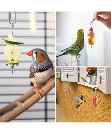 Jubaopen 2-Piece Stainless Steel Parrot Fruit & Vegetable Holder | Durable Bird Accessory for Feeding - Buy Online on GoSupps.com