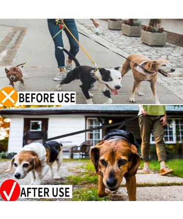 1 piece double dog lead Dual Pet Training Leash Dual Dog Leash Adjustable Dog Leash Splitter Tangle-Free Dual Dog Distribution Leash Suitable for Walking 2 Small to Medium Dogs Black - Buy Online on GoSupps.com