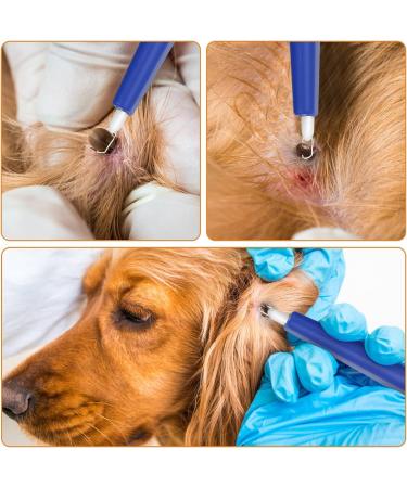 Kasimir Tick Removal Tool - Light Loop Safe & Reliable for All Tick Sizes | Best Alternative to Tweezers - Buy Online on GoSupps.com