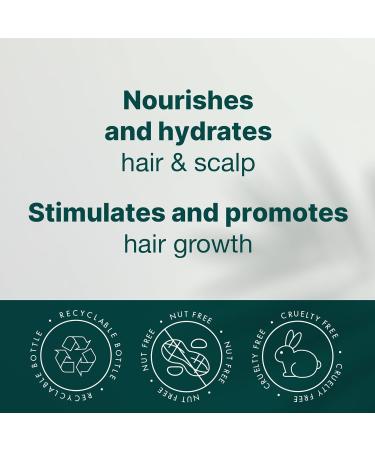 ALODIA Deep Conditioning Masque 12oz | Nourish & Hydrate Curly Hair with Avocado & Peppermint Oil | Scalp & Hair Health Hair Mask - International Shipping Available - Buy Online on GoSupps.com