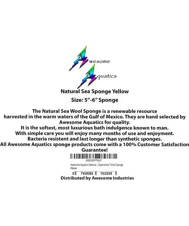 Natural Sea Sponge 5-6 inches - Renewable Resource for The Perfect Bath and Shower Experience - Buy Online on GoSupps.com