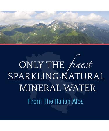 S.Pellegrino Essenza Dark Morello Cherry & Pomegranate Mineral Water - 24 Pack, 11.15 Fl Oz Cans - Buy Online on GoSupps.com