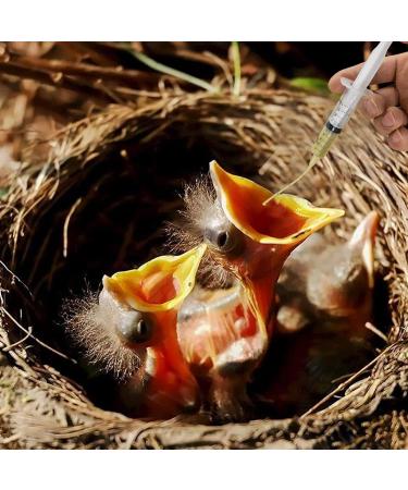 Baby Bird Feeding Syringe Set 10ml 20ml 60ml Pet Parrot Feeding Syringe with Tubes Bird Syringe Feeder Measuring Syringe Tools for Feeding Small Animals Scientific Industrial Labs (10ml+20ml+60ml) - Buy Online on GoSupps.com