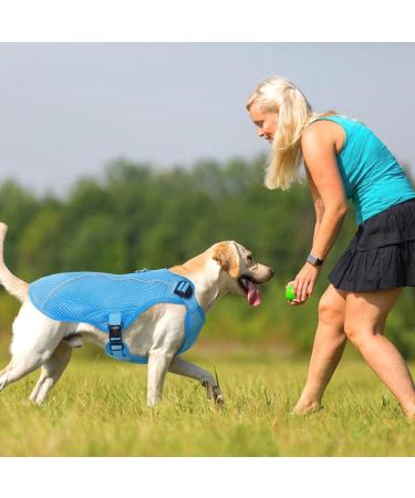 Kuoser Cool Vest for Dogs - XL Blue Cooling Jacket & Ventilated Coat for Outdoor Activities - Buy Online on GoSupps.com