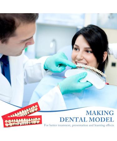 Scettar 6 Pieces Acrylic Resin Fake Teeth for Halloween Makeup and DIY Costume Party - Buy Online on GoSupps.com