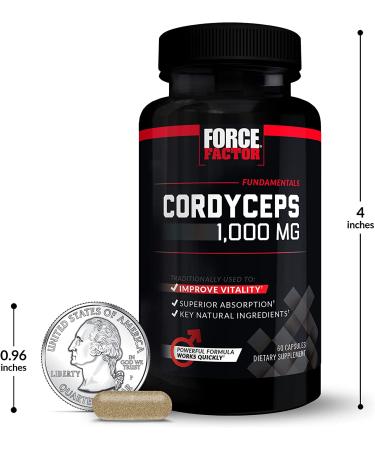 Force Factor Cordyceps 500 mg - 60 Capsules for Energy & Stamina Boost - Buy Online on GoSupps.com