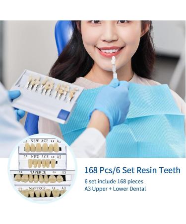 168 Pcs Dental Synthetic Resin Tooth Denture A3 Upper And Lower Acrylic Teeth Sets Acrylic Resin False Teeth for Halloween Horror Teeth - Buy Online on GoSupps.com