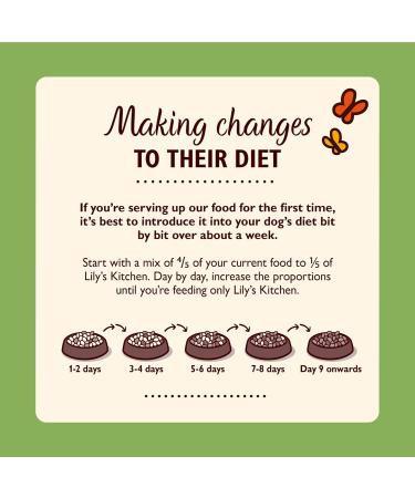 Lily's Kitchen Natural Wet Food for Adult Dogs - Campfire Stew Grain-Free Recipe (6 x 400g) - Venison & Pheasant - Buy Online on GoSupps.com