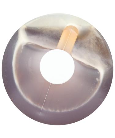 Wholesome Sweeteners Organic Blue Agave 176oz - 1 Case (1 Gallon) - Buy Online on GoSupps.com