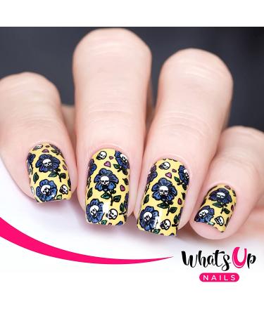 Whats Up Nails Halloween Stamping Plates 2 Pack - B054 & B072 - Nail Art Design Variety Set - Buy Online on GoSupps.com