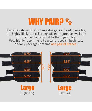 NeoAlly Dog Braces for Back Legs with Dual Metal Spring Inserts - Large, 1 Pair - Buy Online on GoSupps.com