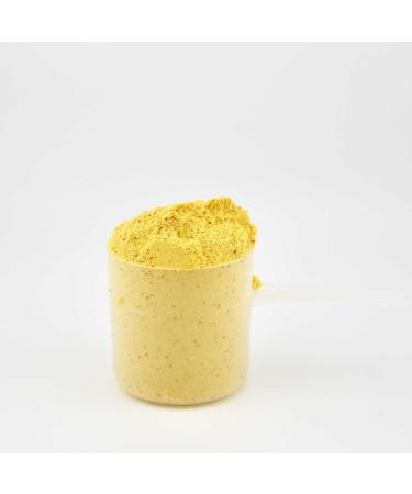 ONMYWHEY Golden Milk Whey Protein Powder Turmeric Saffron & Cinnamon Infused Naturally Flavored 20 Servings - Buy Online on GoSupps.com