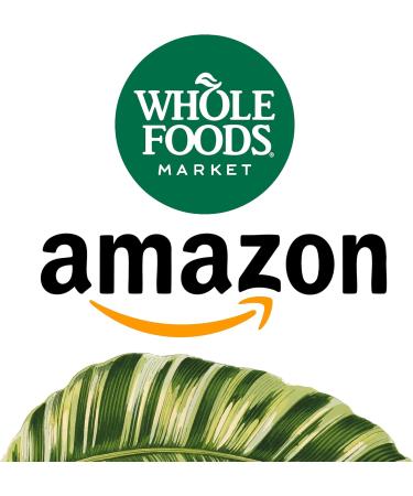 FORTE NATURALS High Dose Vitamin C 1500mg Liposomal C Complex Supplement with Sunflower Lecithin Capsules Supplements Clogged Milk Sunflower Lecithin 180 Capsules Celebration Vitamins - Buy Online on GoSupps.com