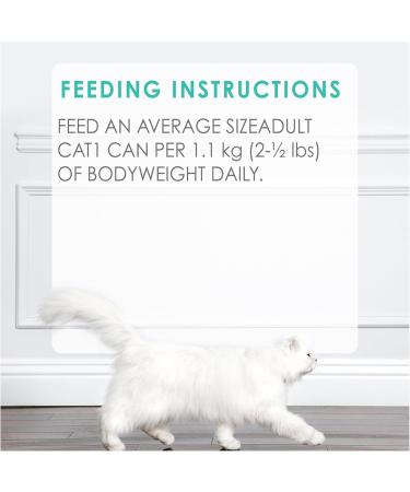 Fancy Feast Gravy Lovers Wet Cat Food Turkey Feast in Gravy - 85 g Can (24 Pack) - Buy Online on GoSupps.com