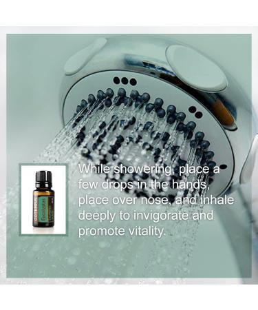 doTERRA Eucalyptus Radiata Essential Oil - 15 mL | Pure & Natural Aromatherapy - Buy Online on GoSupps.com