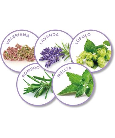 BEAPHAR NO STRESS Refill for calming electric diffuser with Valerian for dogs Reduces stress & behavioral problems without dependency 4 weeks of action 1 refill 30 ml - Buy Online on GoSupps.com