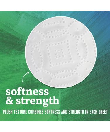 Seventh Generation Paper Towels  100% Recycled Paper  2-ply  2-Count (Pack of 12) - Buy Online on GoSupps.com