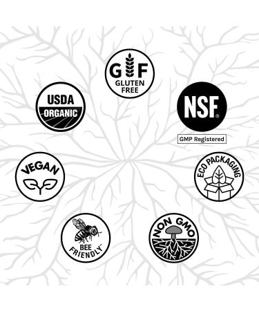 Host Defense Breathe* Powder - Immune & Respiratory Support Mushroom Supplement - Herbal Lung Health Support Supplement with Chaga Reishi & Cordyceps - 3.5 oz (66 Servings)* - Buy Online on GoSupps.com